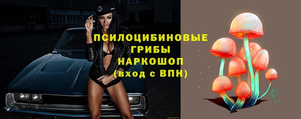 винт Нея