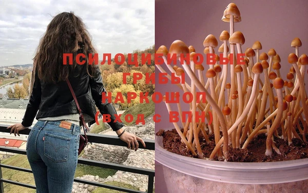 apvp Балахна